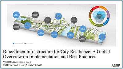 Blue Green Infrastructure for City Resilience presentation cover page